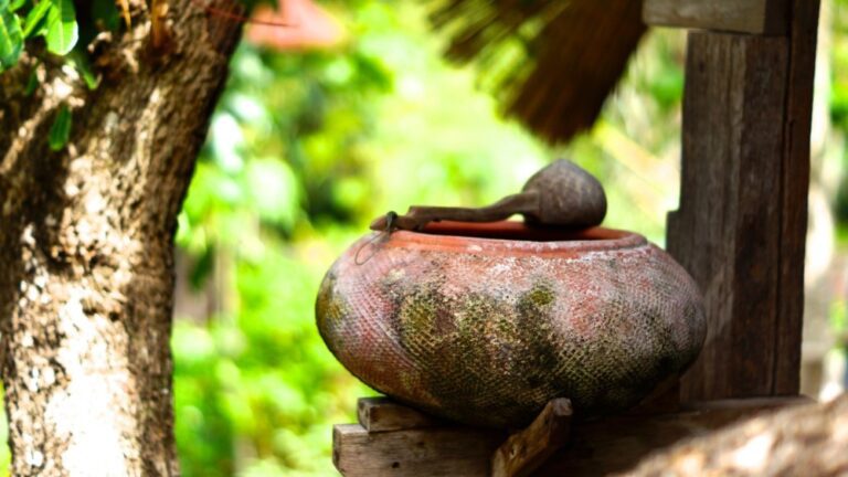 11Pani ka matka