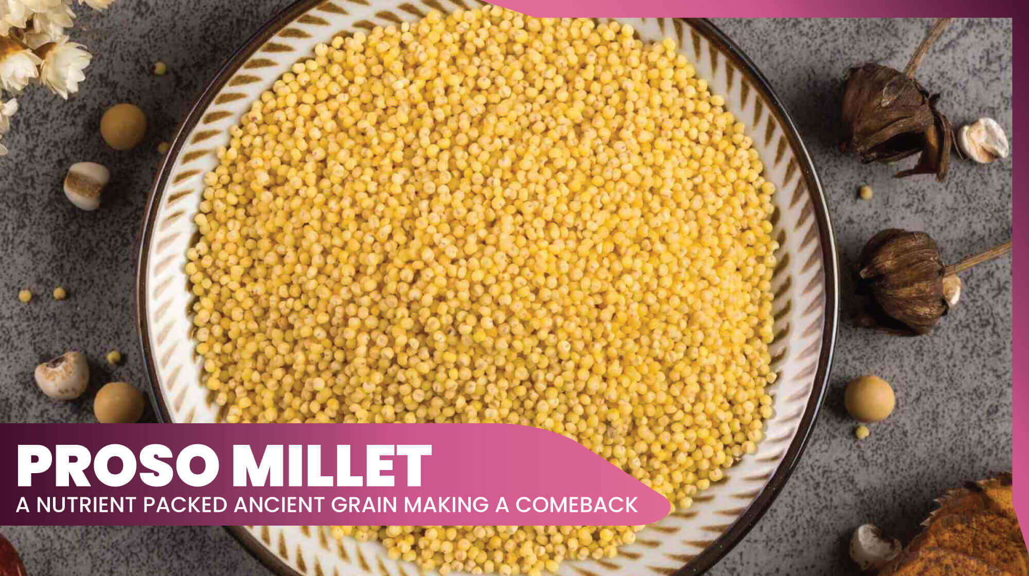 11proso millet grain nutritional benefits