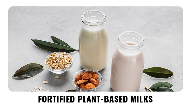 Fortified Plant-Based Milks