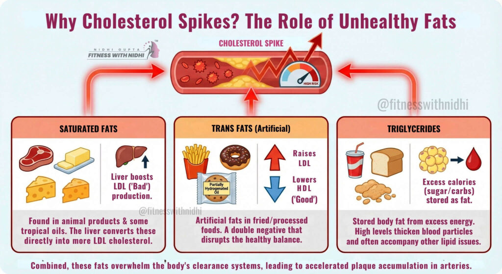 Why Cholesterol Spikes?